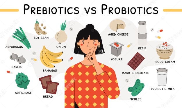 alimentos probióticos y prebióticos
